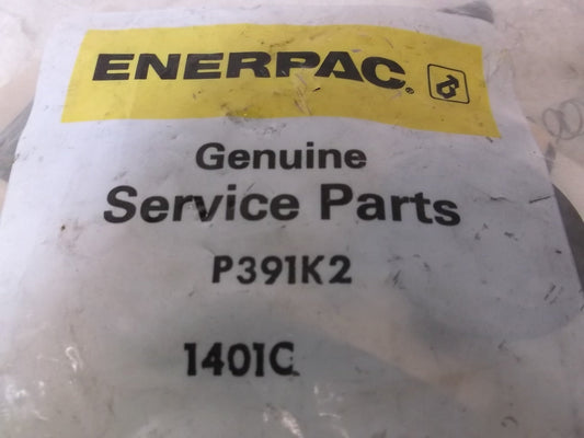 Enerpac, P391K2, Hydraulic Hand Pump Repair Kit, for 6W462