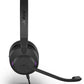 Jabra Evolve2 30 SE Wired Stereo Noise-Cancelling Headset - Features 2-Microphone Call Technology and USB-A Cable - MS Teams Certified, Works with All Other Platforms - Black